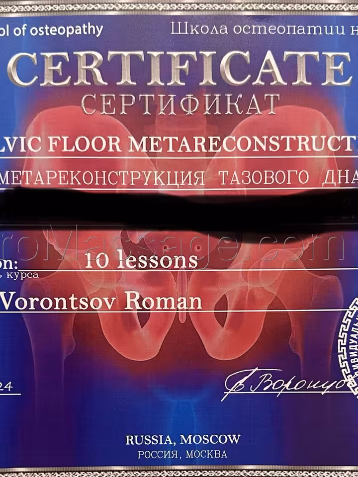 Стелла